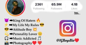 IGBoysBio.com