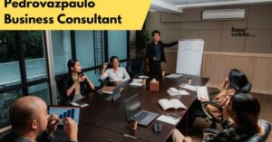 Pedrovazpaulo Business Consultant